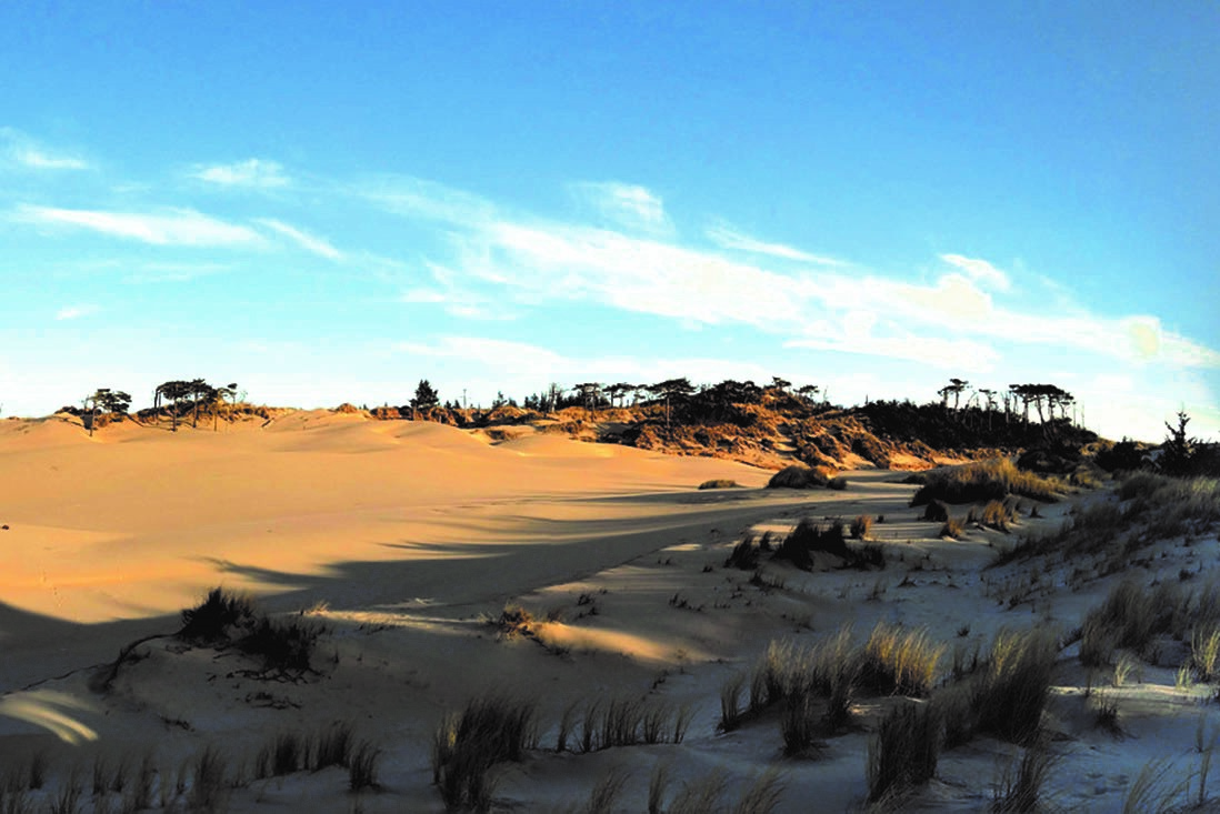 Oregon Coast Escape: South Jetty RV Resort & Encore's Coastal Charm